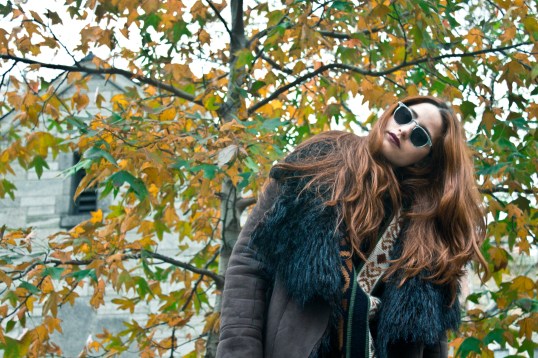 Coloreada_GreenHouse_1S