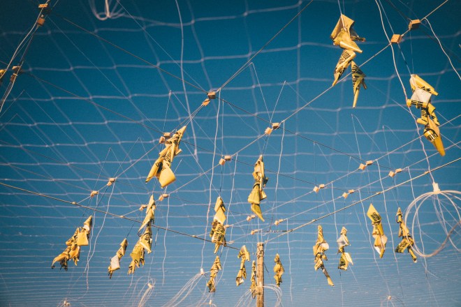 MelissaMontoyaPhotography_2015_09_30_BurningMan_4