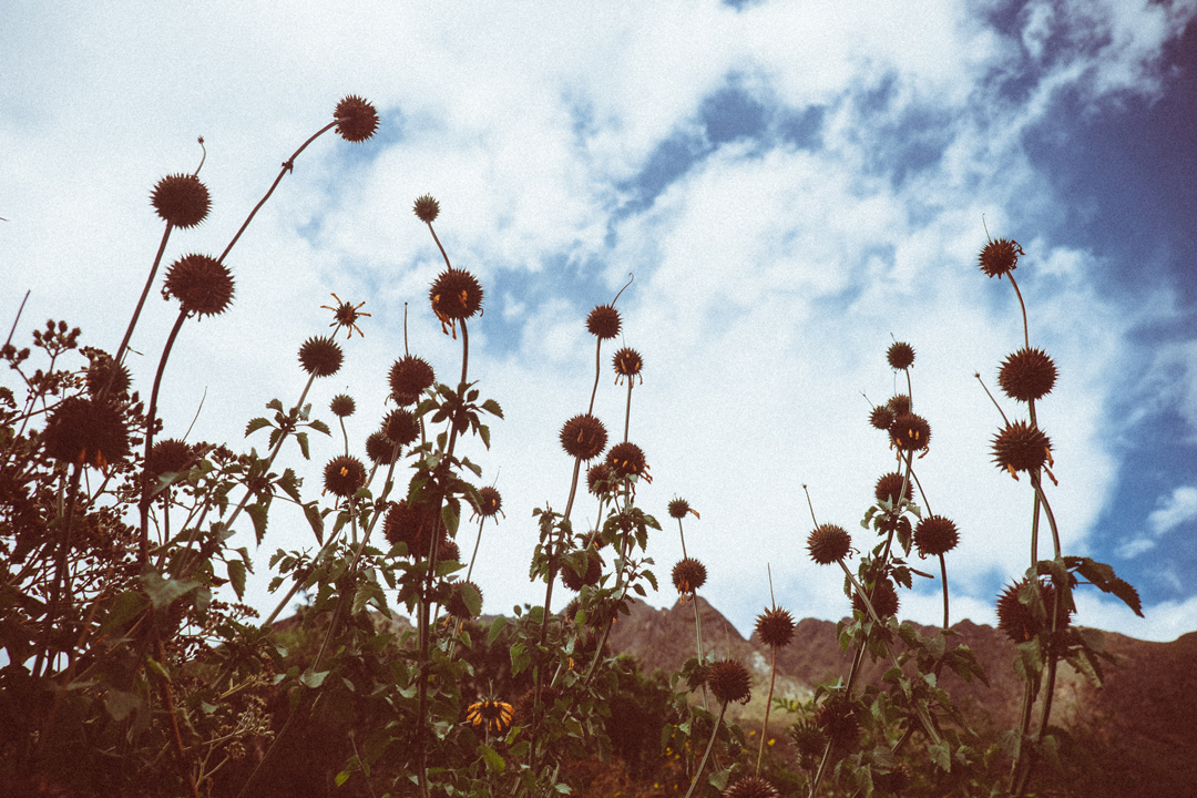 MelissaMontoyaPhotography_Travel_IncaTrail_Part1_01