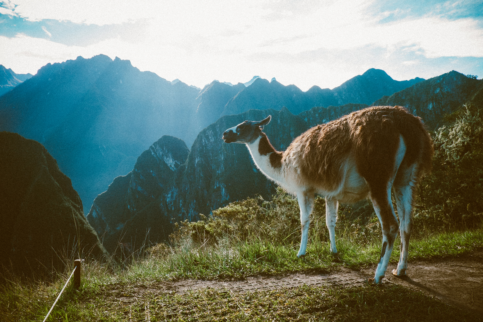 MelissaMonotyaPhotography_Travel_MachuPicchu_01