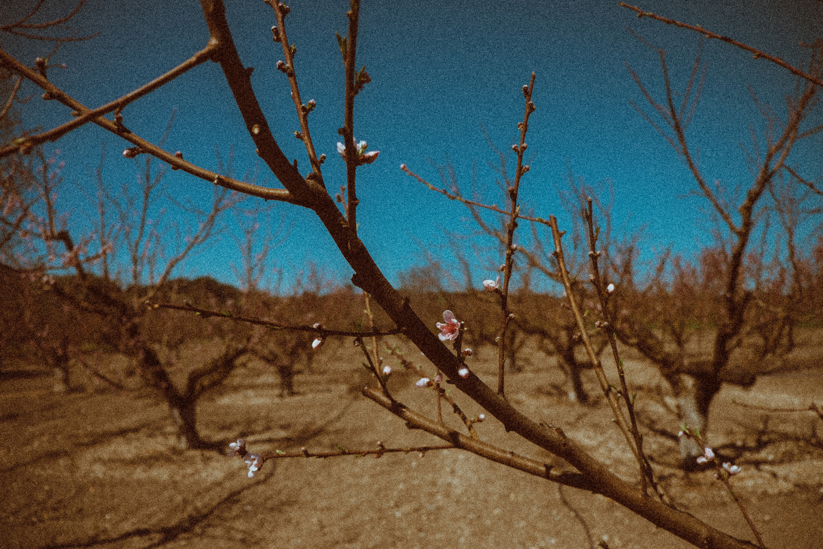 DSCF4880_WEB