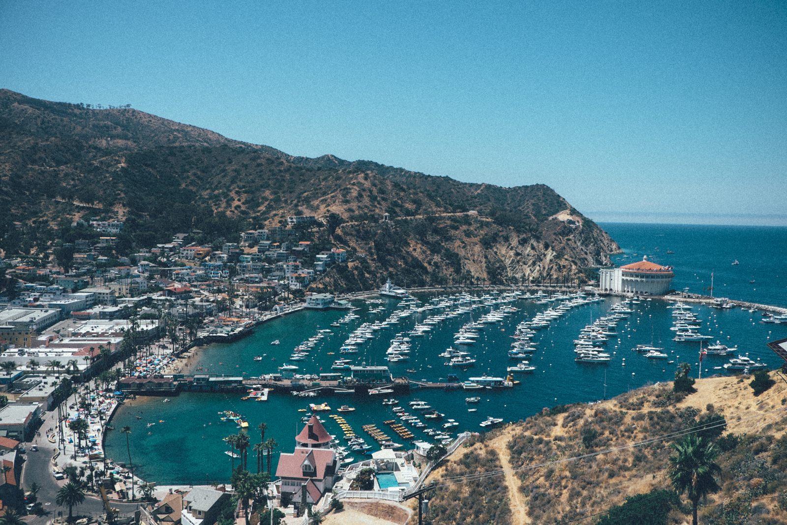 MelissaMontoyaPhotography_2017_08_07_CatalinaIsland_03