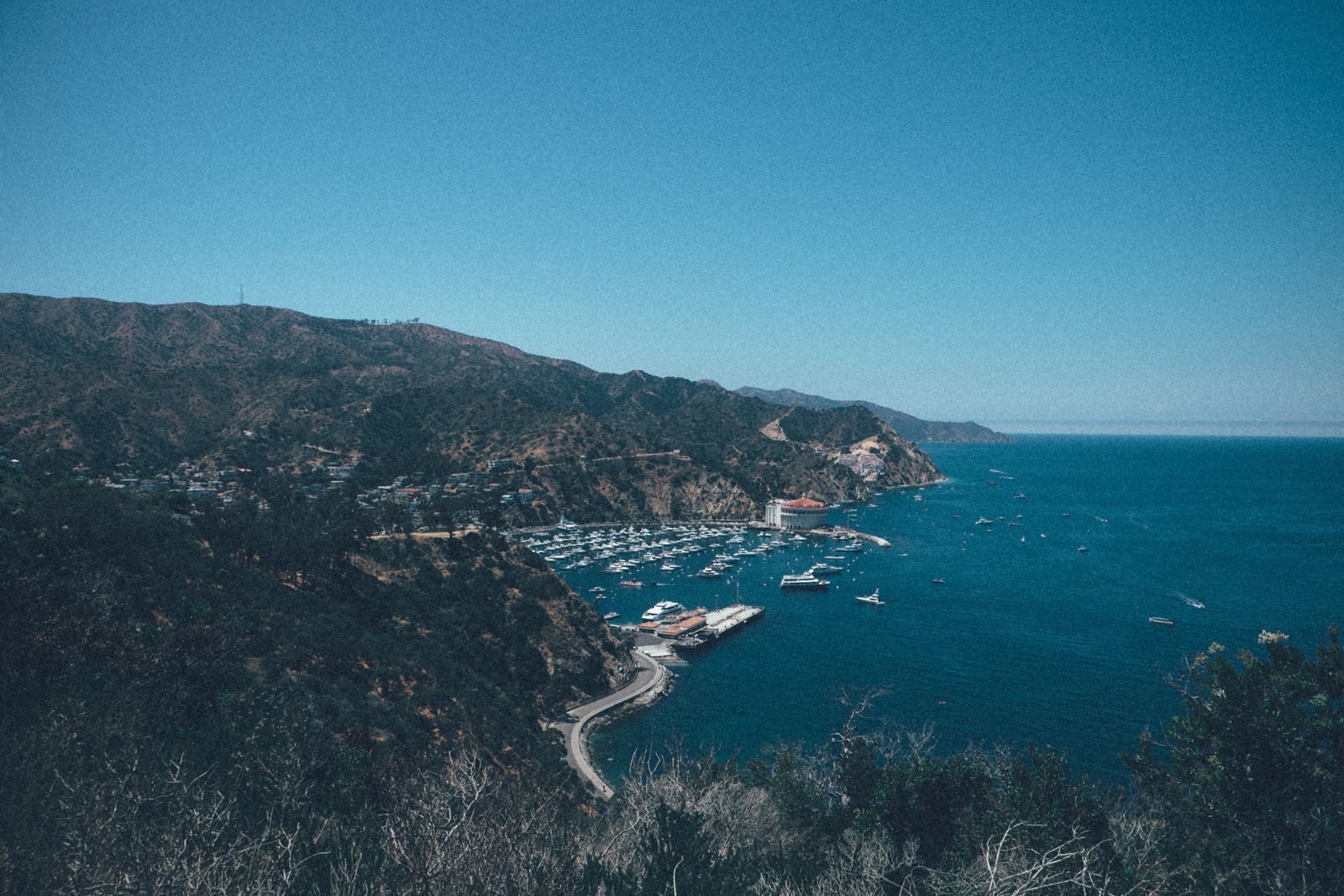MelissaMontoyaPhotography_2017_08_07_CatalinaIsland_05