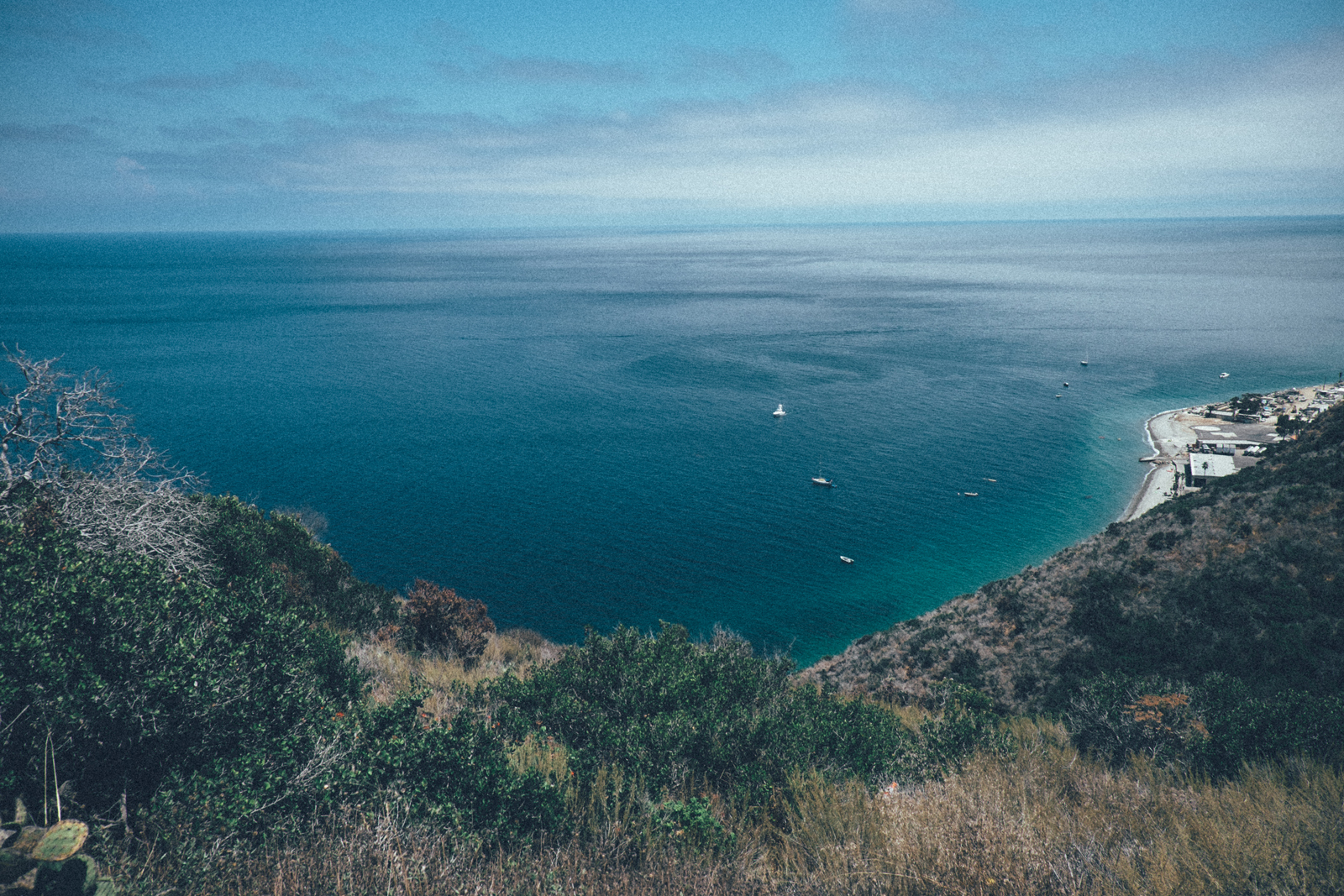 MelissaMontoyaPhotography_2017_08_07_CatalinaIsland_08