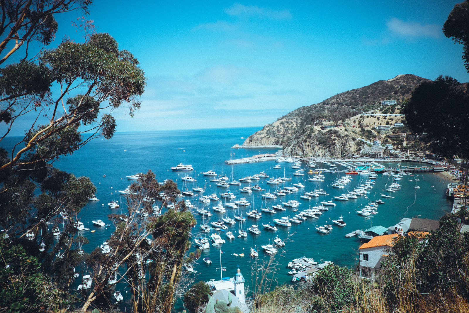 MelissaMontoyaPhotography_2017_08_07_CatalinaIsland_10