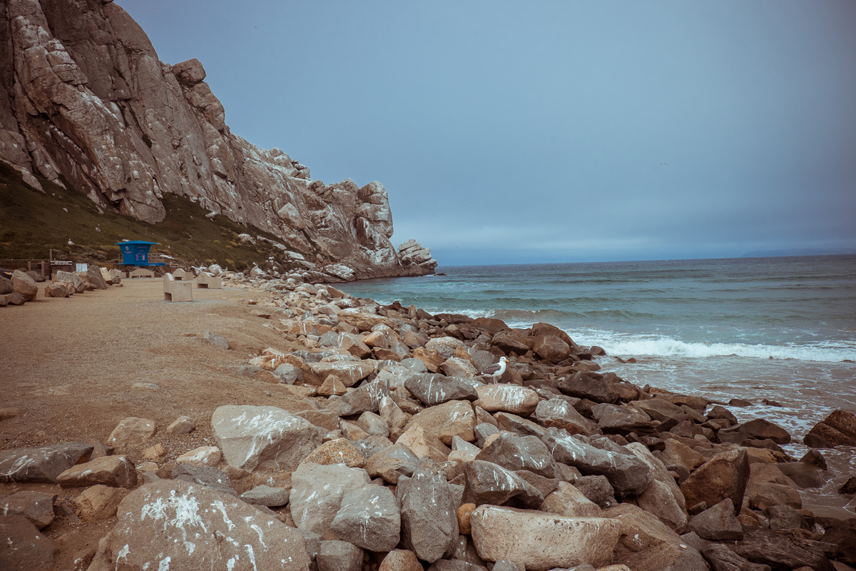 MelissaMontoyaPhotography_PLACES_MorroBay_02_WEB