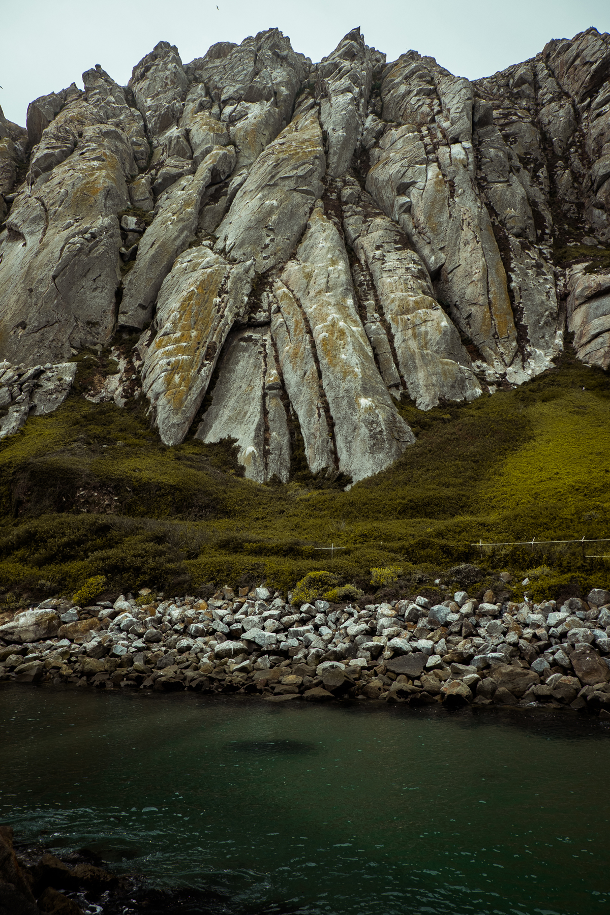 MelissaMontoyaPhotography_PLACES_MorroBay_05_WEB